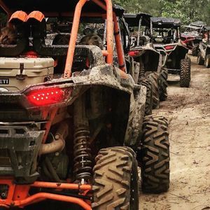 Meet your Posher, Richard